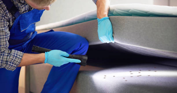 Best Wasp Removal Services  in Newark, NY