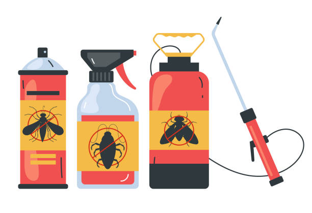 Best Spider Control Near Me  in Newark, NY