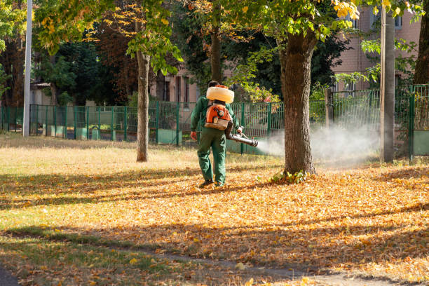 Best Best Pest Control Near Me  in Newark, NY