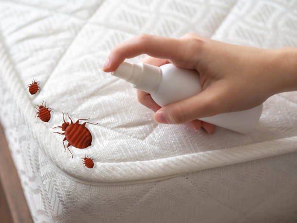 Best Mosquito Control Services  in Newark, NY