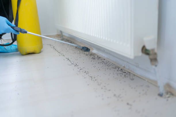 Best Mosquito Control Services  in Newark, NY