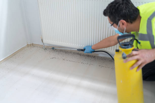 Best Pest Prevention Services  in Newark, NY